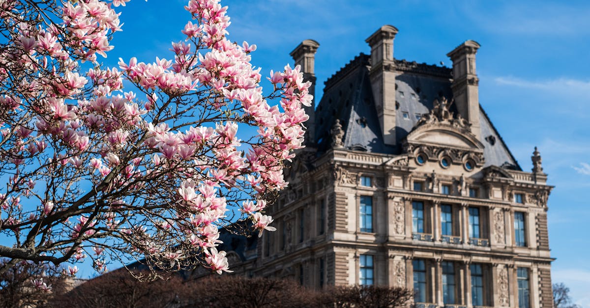 découvrez l'accord de paris, un engagement mondial crucial pour lutter contre le changement climatique, visant à limiter le réchauffement climatique à 1,5°c par rapport aux niveaux préindustriels. informez-vous sur ses objectifs, ses enjeux et l'importance de la coopération internationale dans cette lutte collective.