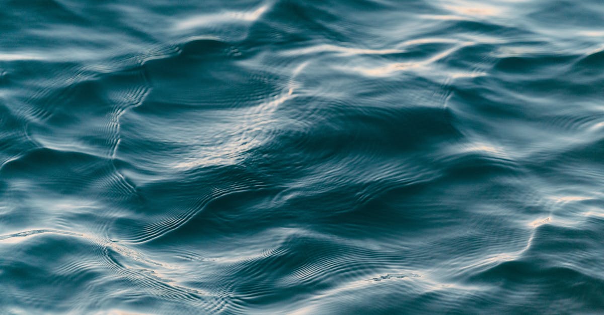 découvrez tout sur l'eau : ses propriétés, son importance vitale, ses usages et son impact sur notre environnement.