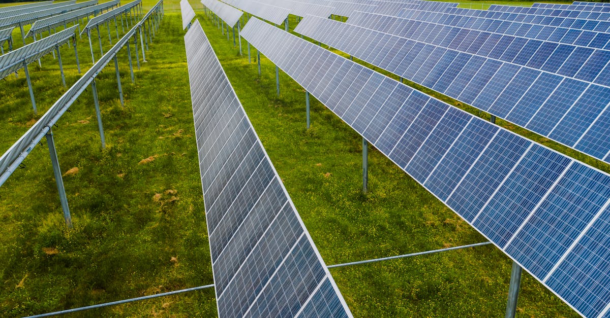 découvrez les principes du développement durable pour préserver les ressources naturelles, promouvoir l'équité sociale et assurer un avenir viable pour les générations futures.