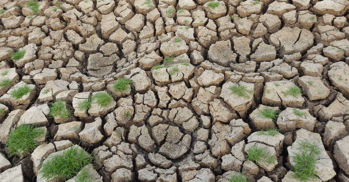 découvrez les causes, impacts et solutions du changement climatique pour mieux comprendre et agir face à cette urgence environnementale mondiale.