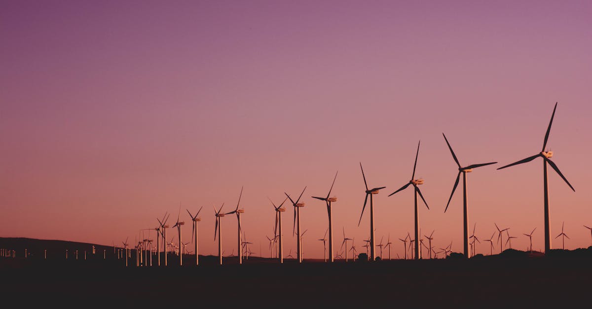 découvrez les principes et pratiques de la durabilité, une approche essentielle pour préserver notre planète et améliorer notre qualité de vie. explorez des solutions innovantes et des exemples inspirants qui favorisent un avenir plus respectueux de l'environnement.