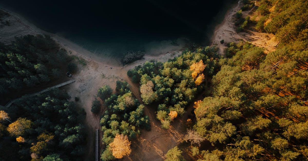 découvrez les enjeux et solutions de la transition écologique pour un avenir durable, alliant innovation, protection de l'environnement et développement responsable.