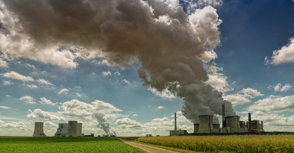 découvrez les différentes formes de pollution qui affectent notre environnement, de l'air à l'eau, en passant par le sol. explorez les impacts sur la santé humaine et les écosystèmes, ainsi que les solutions durables pour réduire notre empreinte écologique.