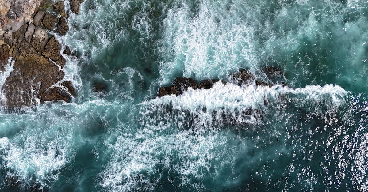 découvrez ocean act, une initiative engagée pour la protection et la préservation des océans à travers des actions durables et responsables.