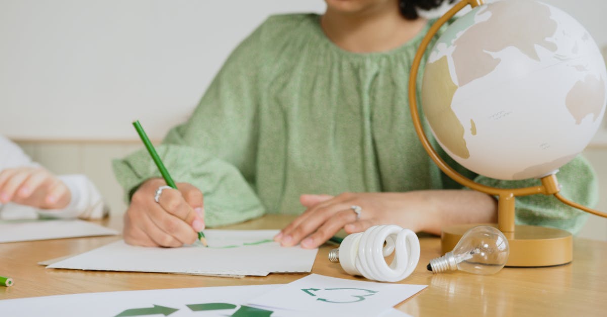 découvrez nos programmes d'éducation dédiés à la transition écologique, conçus pour sensibiliser et former aux enjeux environnementaux actuels.