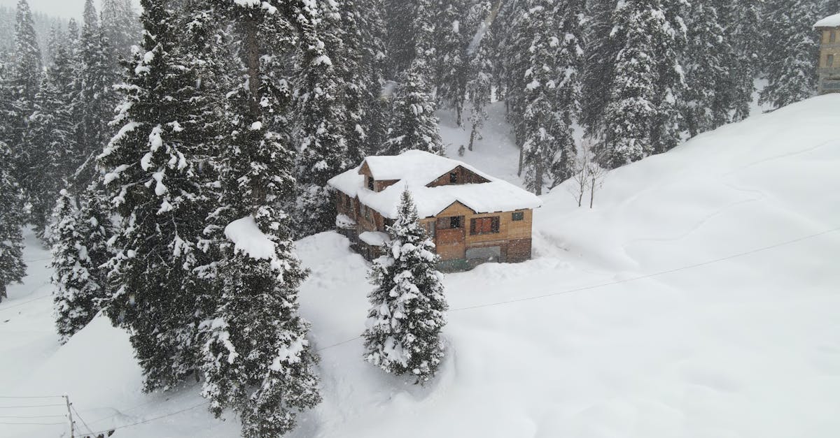 prévisions et informations sur les fortes chutes de neige, conseils de sécurité et impact sur les déplacements.
