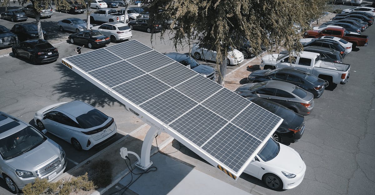 découvrez les pratiques et innovations en matière de durabilité pour préserver notre planète et promouvoir un avenir écologique et responsable.