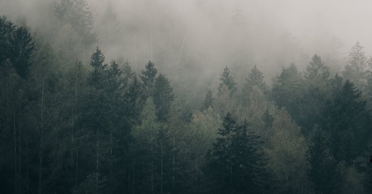 découvrez comment les subventions environnementales peuvent stimuler la croissance durable et soutenir des projets éco-responsables. informez-vous sur les avantages financiers et les opportunités offertes par ces aides pour favoriser la transition écologique.