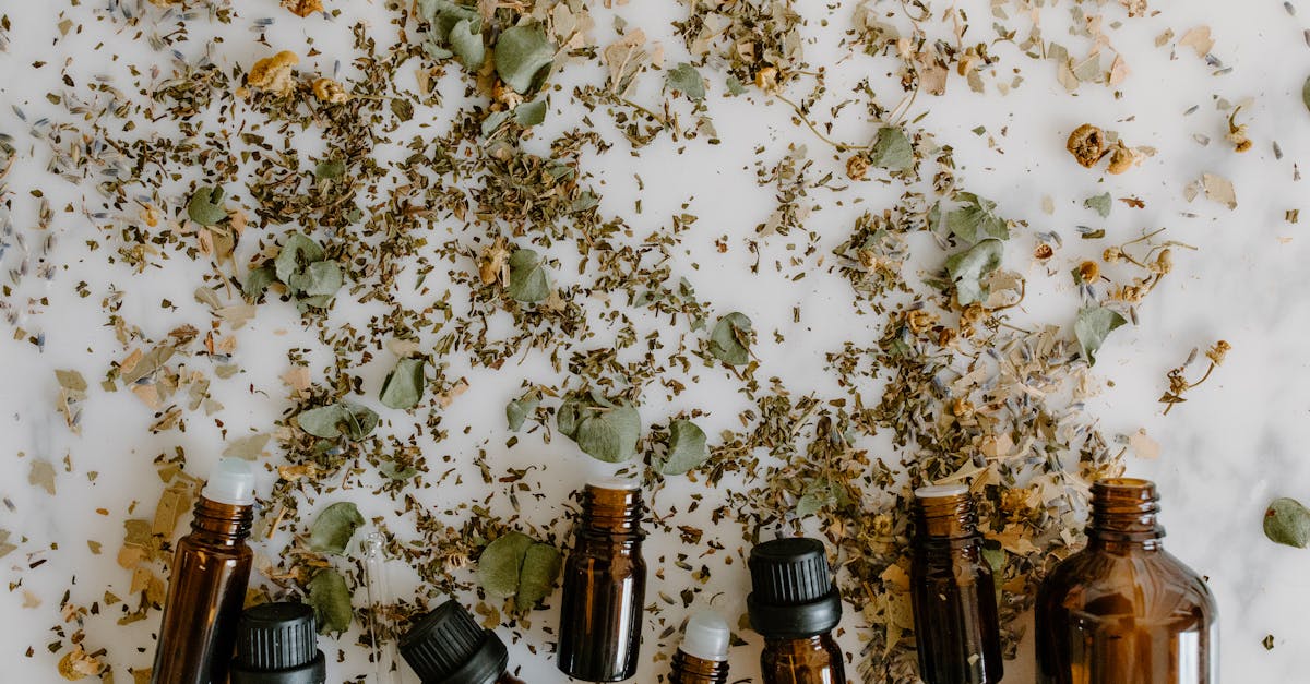 découvrez le forum des alternatives biologiques, un espace d'échange et de conseils pour adopter des solutions naturelles et durables au quotidien.