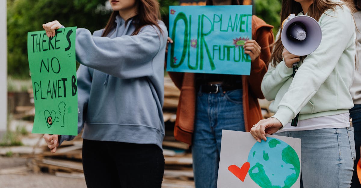 découvrez comment la jeunesse s'engage activement dans la lutte contre le changement climatique pour un avenir durable et responsable.