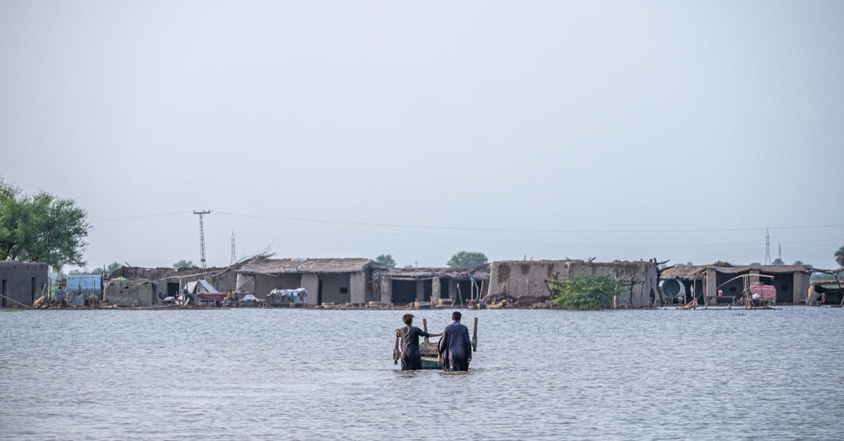 découvrez les stratégies d'adaptation au changement climatique en agriculture pour préserver les récoltes et assurer une production durable face aux défis environnementaux.