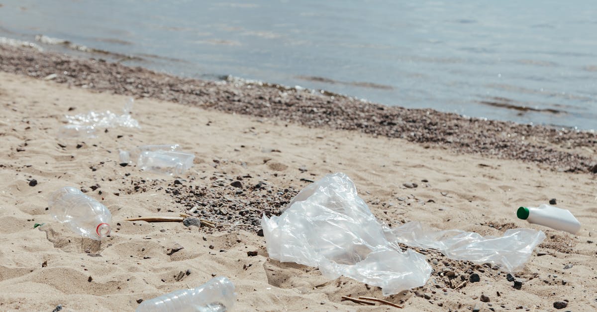 découvrez les impacts du changement climatique sur notre planète et comment ils affectent l'environnement, la biodiversité et les sociétés humaines.