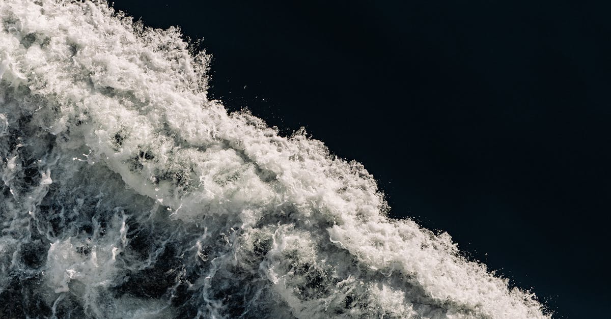 découvrez ocean act, une initiative engagée pour la protection et la préservation des océans. rejoignez-nous pour agir en faveur de la biodiversité marine et lutter contre la pollution.