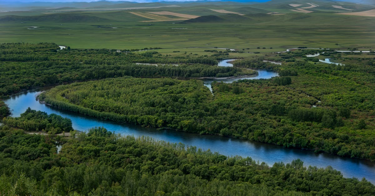 découvrez tout sur l'environnement : protection, enjeux écologiques, et solutions durables pour préserver notre planète.