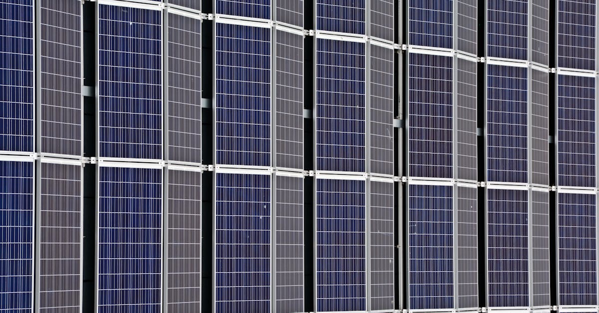 découvrez l'importance de la durabilité pour un avenir meilleur. explorez des idées, des pratiques et des innovations qui favorisent l'équilibre écologique, l'économie circulaire et le bien-être social. engagez-vous dès aujourd'hui dans des actions qui préservent notre planète pour les générations futures.