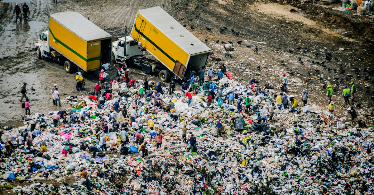 découvrez les enjeux et les méthodes de la récupération des ressources, un processus innovant visant à transformer les déchets en matières réutilisables. apprenez comment cette pratique contribue à la durabilité environnementale et à l'économie circulaire.