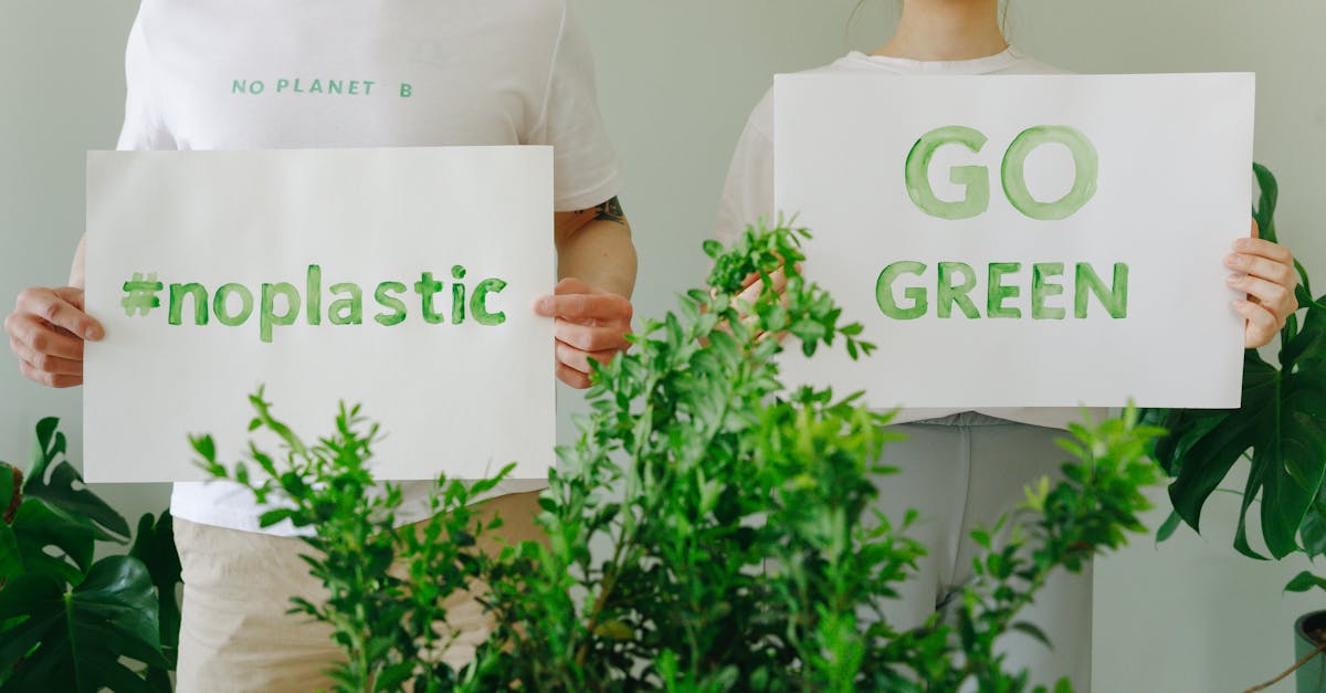 découvrez ce qu'est le greenwashing, ses techniques et comment identifier les pratiques trompeuses en matière d'écologie pour protéger l'environnement de manière authentique.