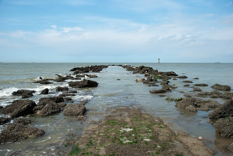 Comment les villes côtières réinventent leur adaptation à la montée des eaux