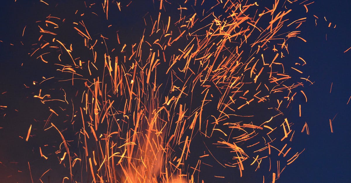 Une étude révèle que la crise climatique accroît le risque d’incendies de forêt par un facteur de 40