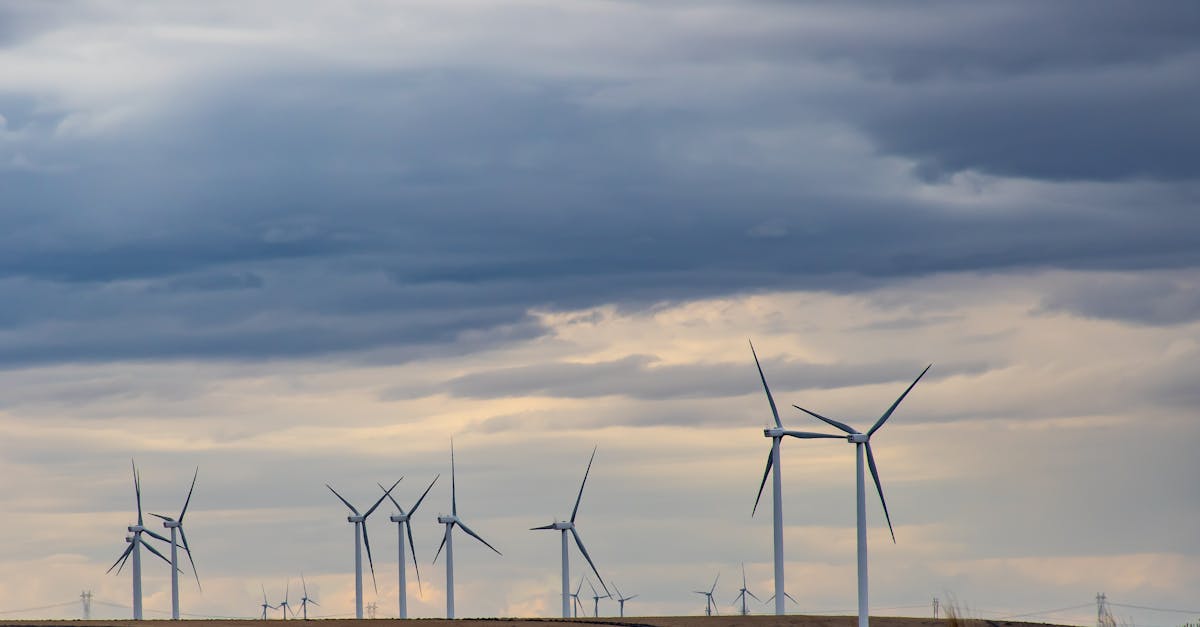 Énergie éolienne : comprendre son fonctionnement et ses avantages