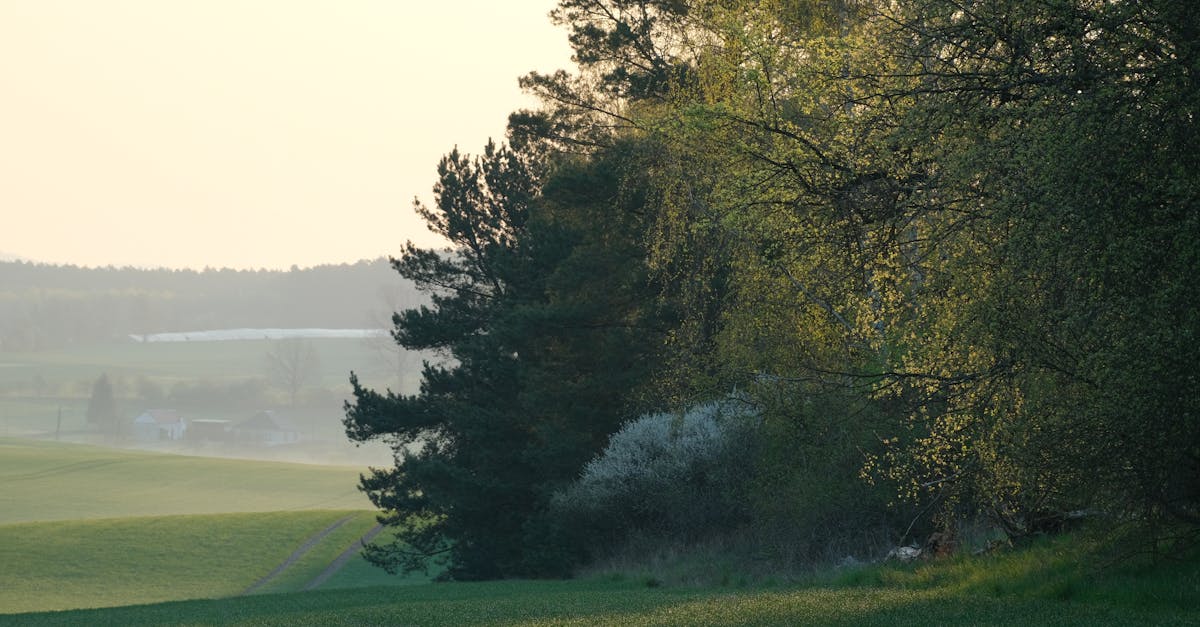 Convention climat : Comprendre ses enjeux et son impact sur l’environnement