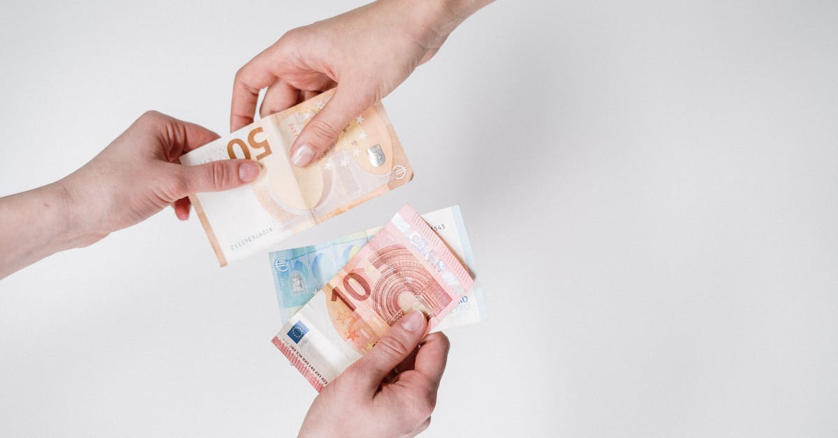 Financement vert : comment les entreprises peuvent-elles investir durablement ?