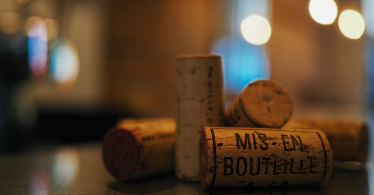 Les vignobles français défiés par les bouleversements climatiques : enjeux et adaptations