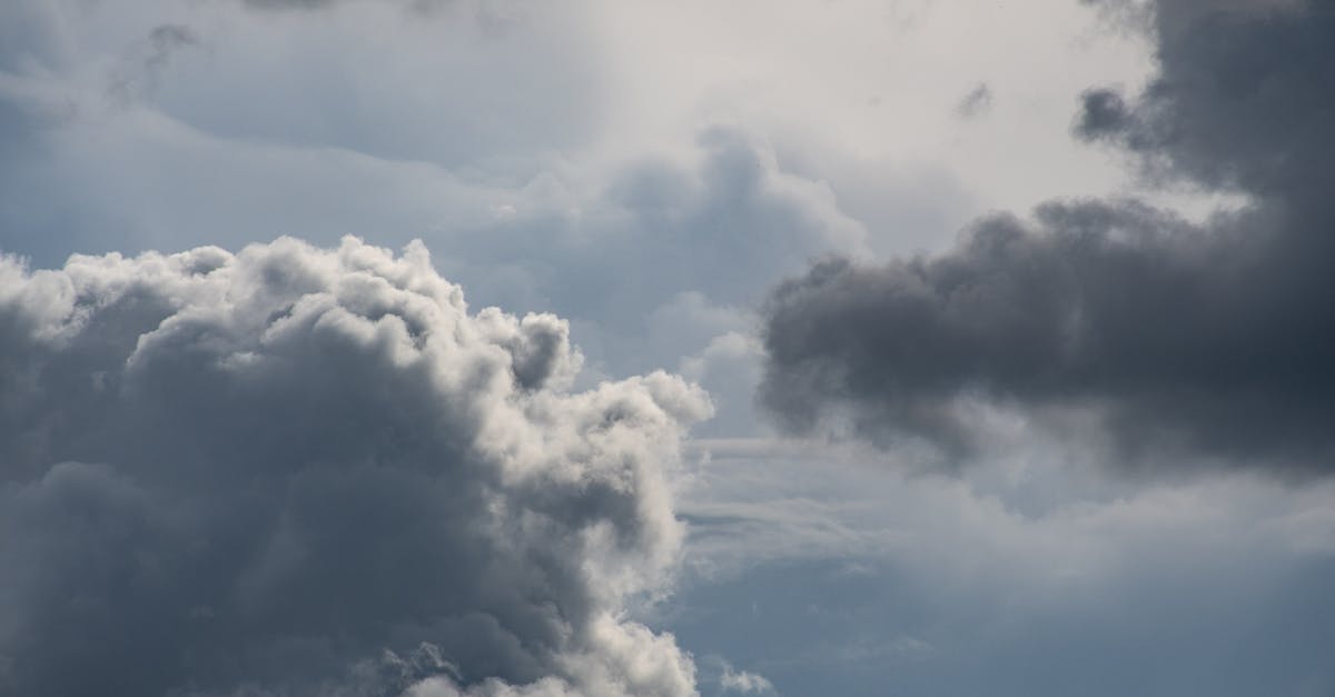 Prévisions climatiques : comprendre les enjeux et les impacts futurs