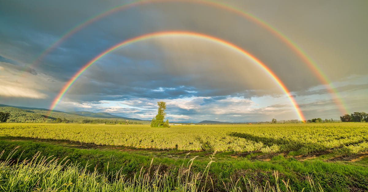 Comment célébrer la journée de la terre et promouvoir le climat