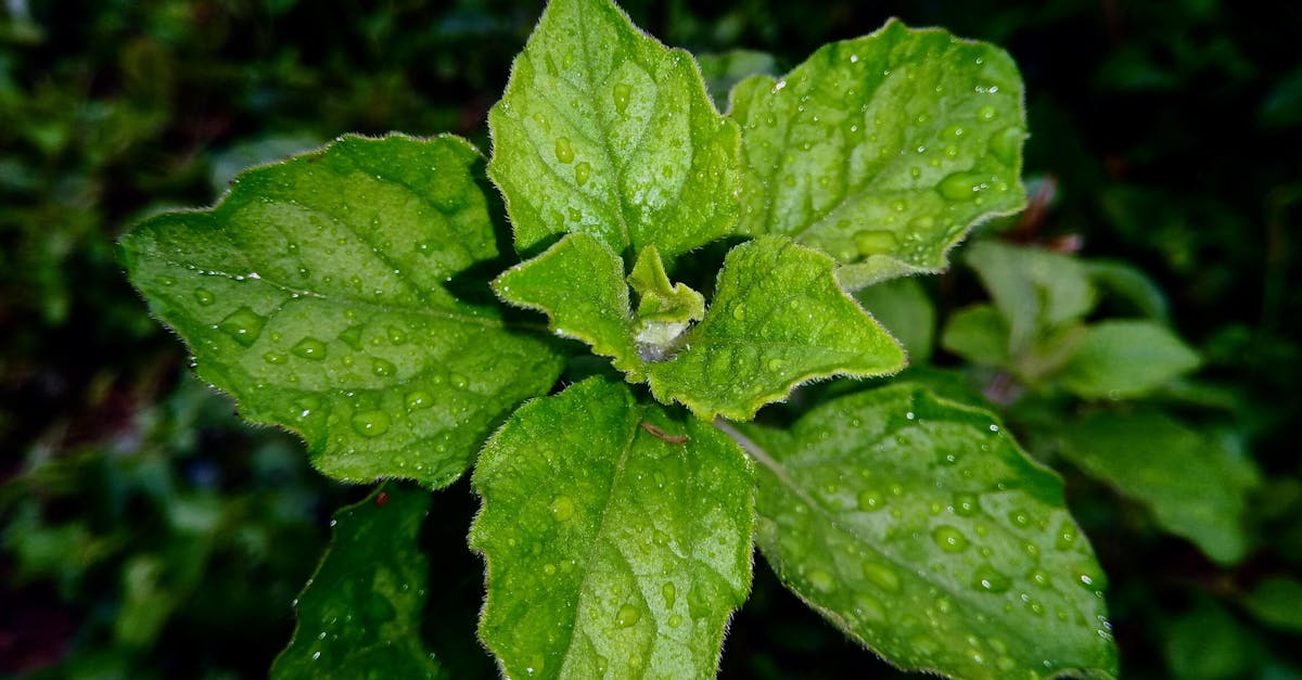Les 10 innovations écologiques les plus enthousiasmantes du moment