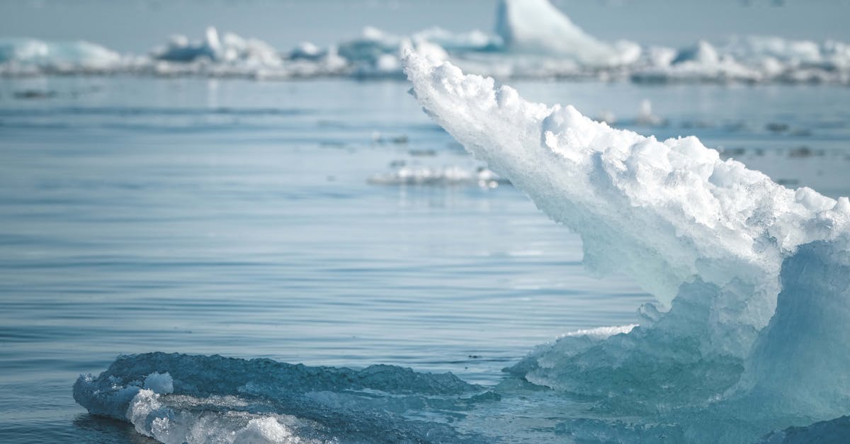 La montée des océans : menaces et solutions