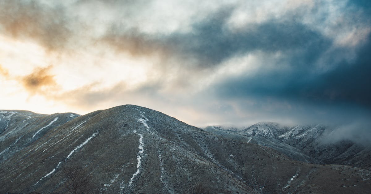 S’engager pour l’avenir : L’investissement dans la transition climatique en Europe