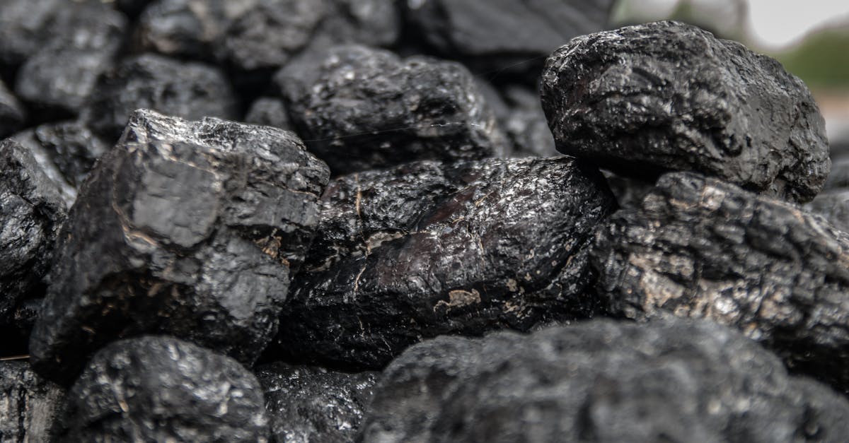 Quelles alternatives aux politiques de désinvestissement fossile ?