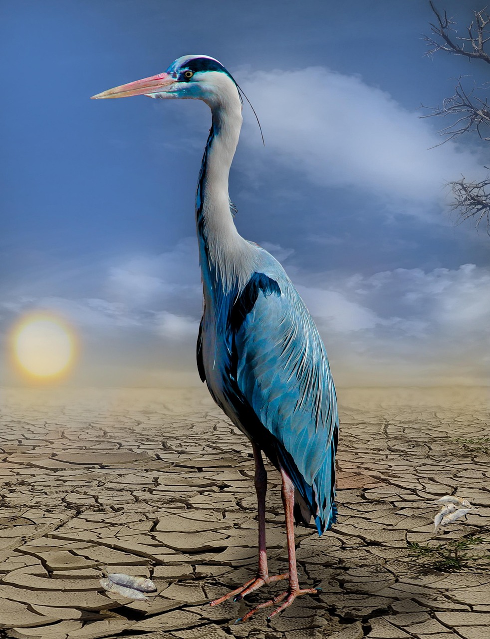Climat : comment les ONG influencent les politiques environnementales