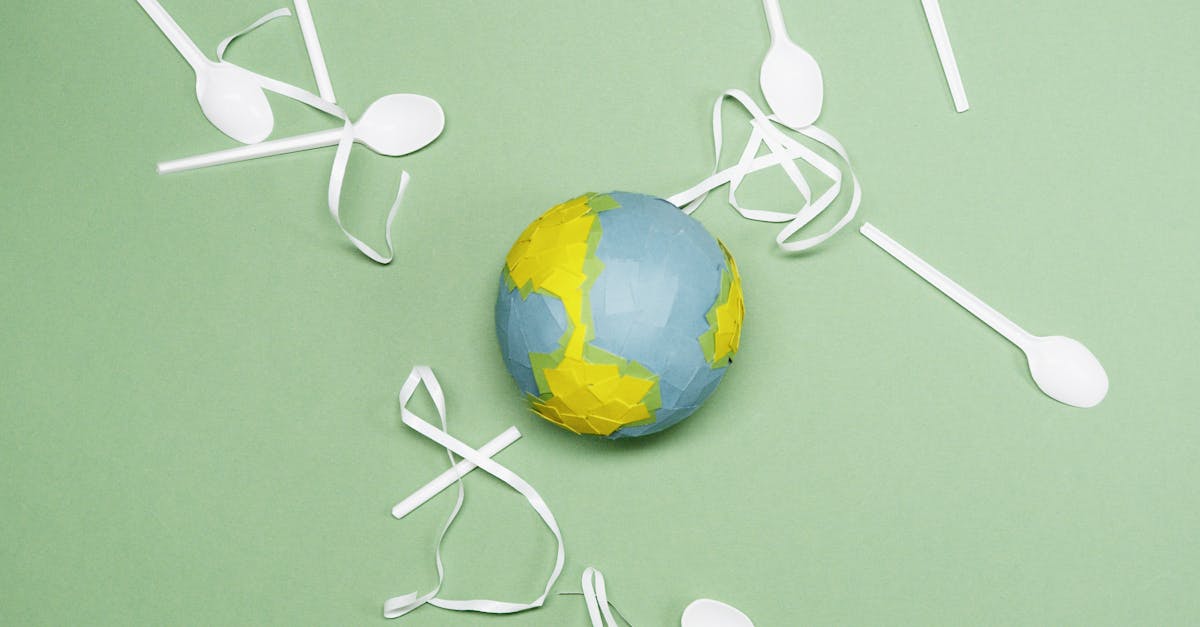 Le Green Brief : aperçu des initiatives écologiques en vue des élections européennes de 2024
