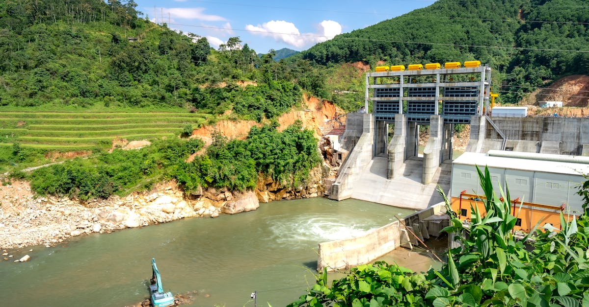 Développement des énergies renouvelables : enjeux et perspectives pour un avenir durable