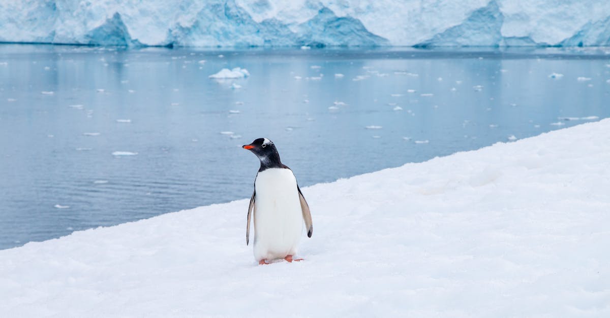 Stage de sensibilisation et de vulgarisation sur les négociations internationales climatiques en préparation pour la COP30