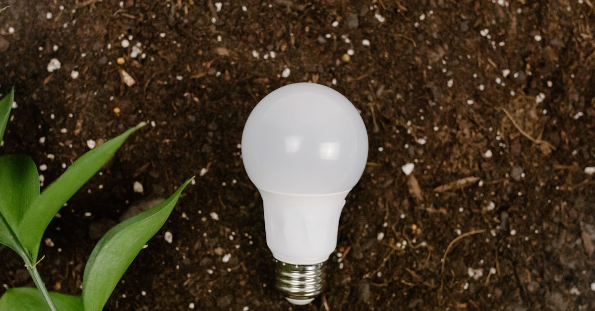 Concours Lépine : Spotlight sur les innovations écologiques