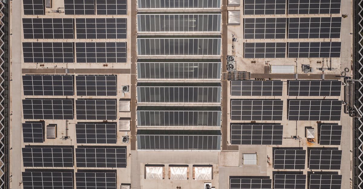 Les projets écologiques : des solutions durables pour un avenir meilleur