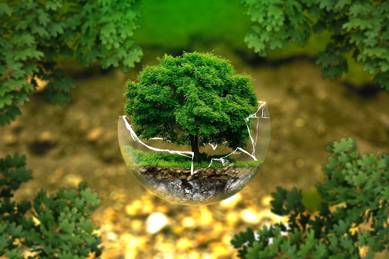 Évaluation environnementale : comprendre son importance pour un développement durable