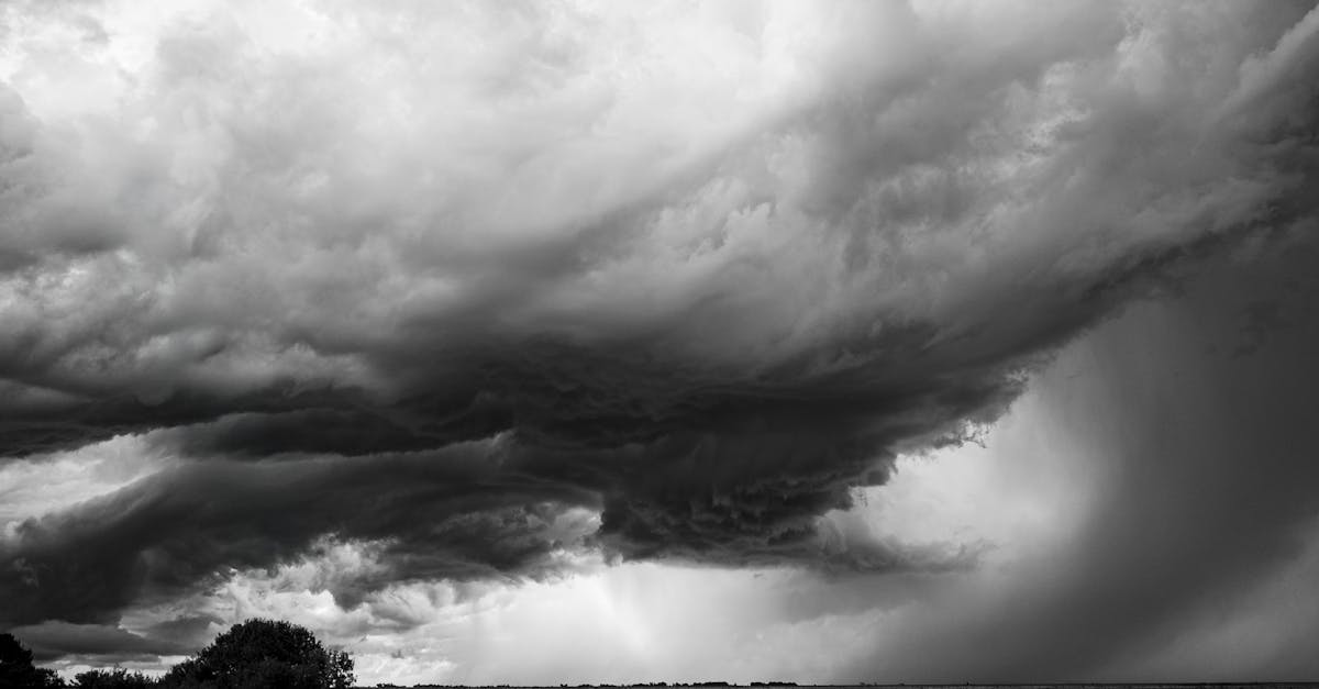 Comment les politiques se transforment face à l’urgence climatique