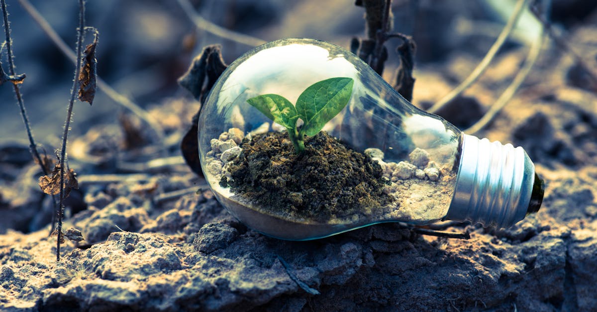 Les énergies renouvelables comme réponse au changement climatique