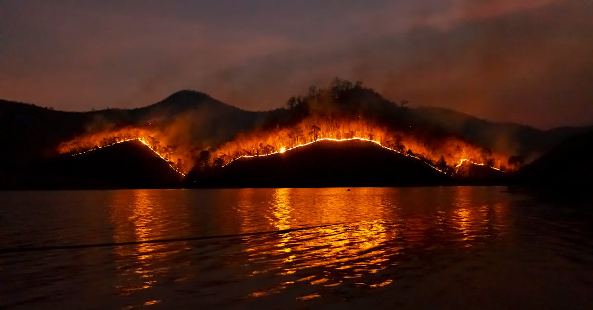 Comment le réchauffement climatique transforme les forêts en combustible pour les incendies de forêt