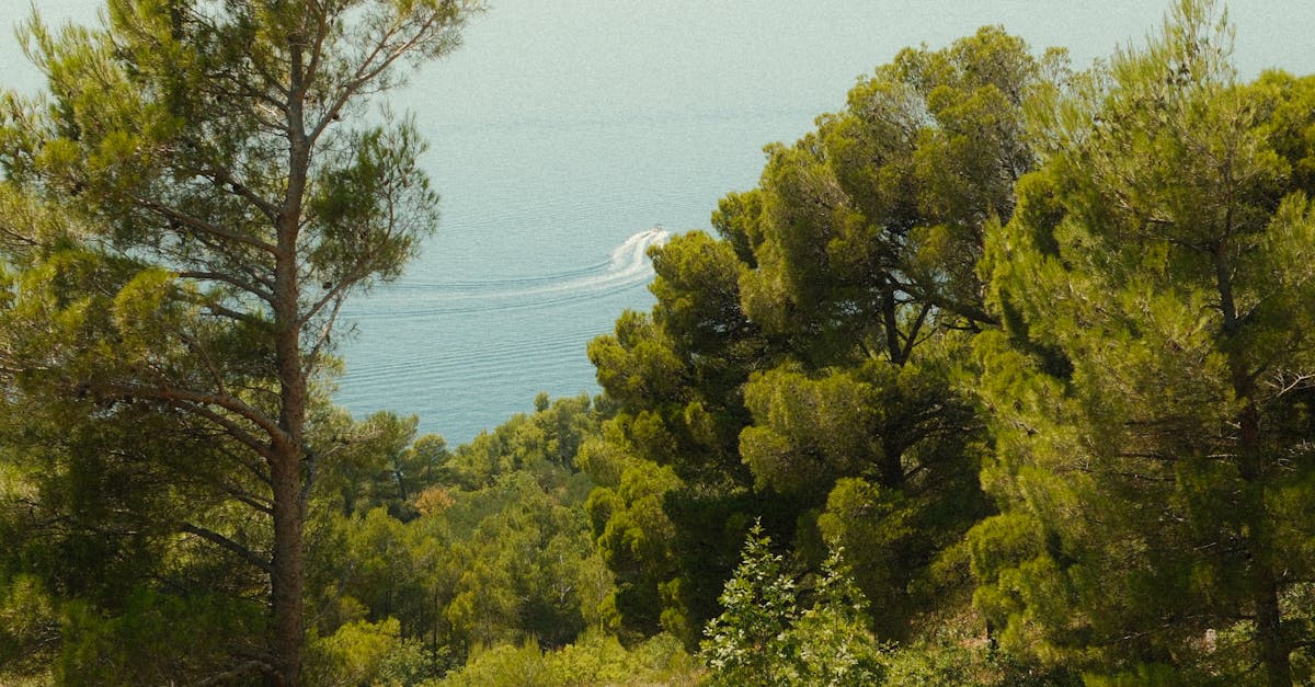Propriano : une sortie en mer pour éveiller les consciences à la protection de la Méditerranée