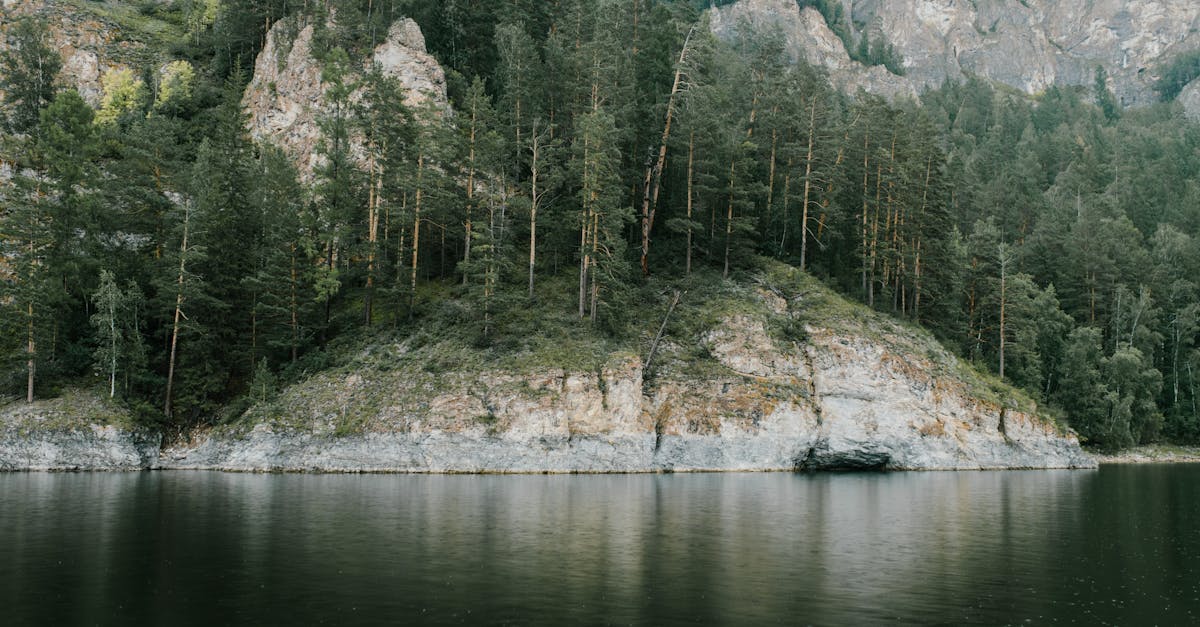 L’importance des réserves naturelles dans la lutte climatique