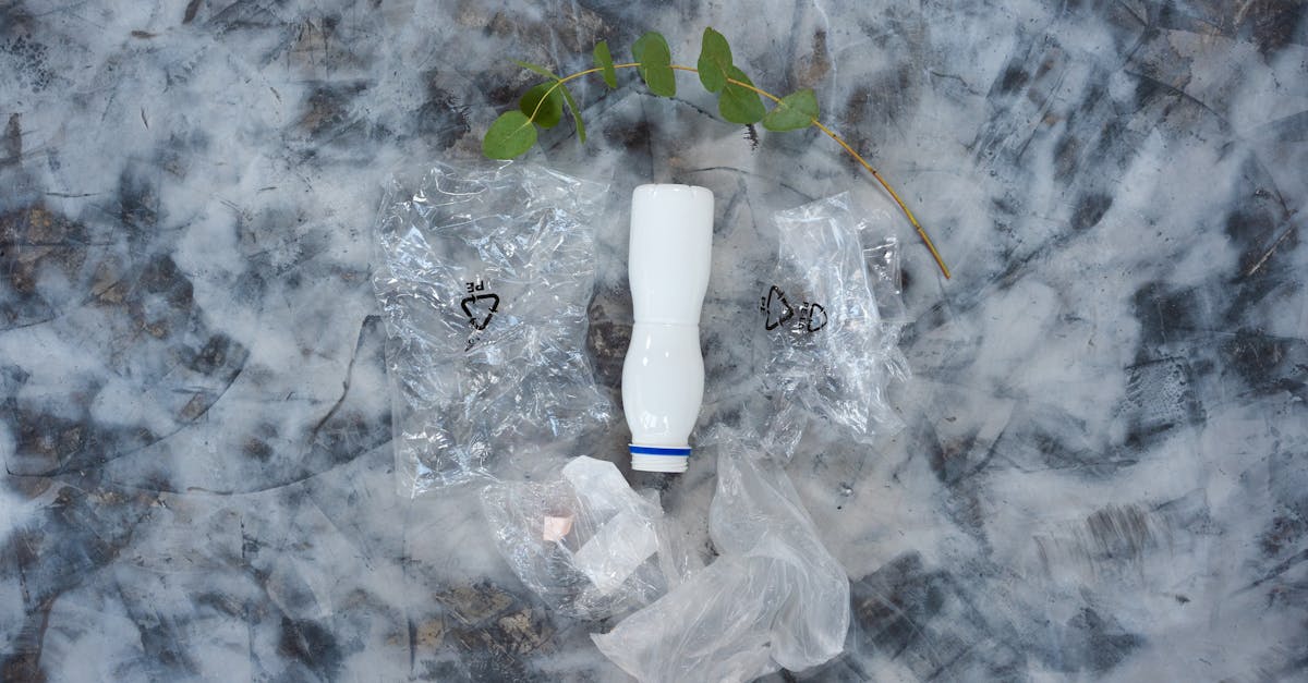 Les polluants et leurs effets sur l’environnement