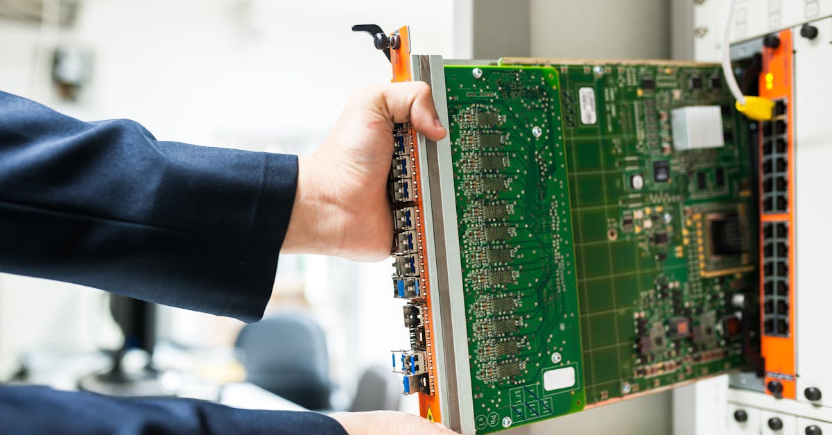 Maine-et-Loire : quand les entreprises locales innovent pour un avenir écologique
