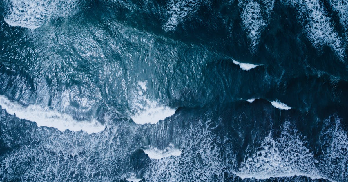x30 en péril : L’Ocean Act, un espoir pour sauver les océans européens ?