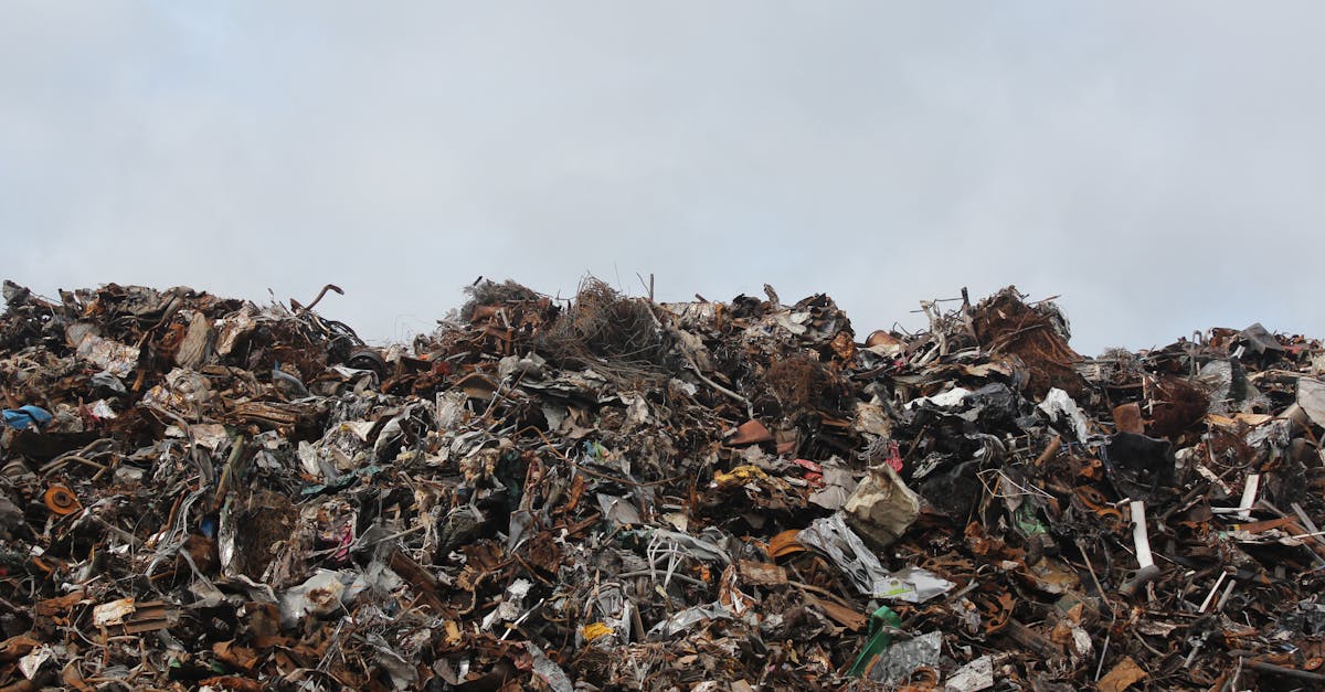 Gestion des déchets : stratégies efficaces pour un futur durable