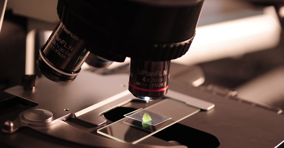 Le rôle de la recherche scientifique dans l’élaboration des politiques